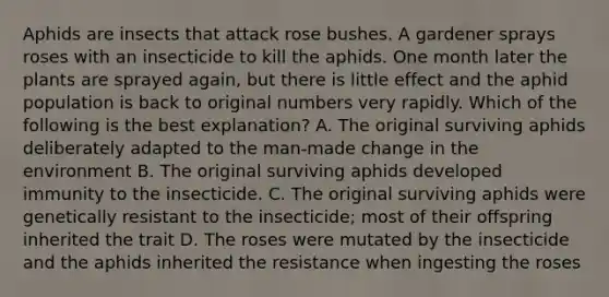 Aphids are insects that attack rose bushes. A gardener sprays roses with an insecticide to kill the aphids. One month later the plants are sprayed again, but there is little effect and the aphid population is back to original numbers very rapidly. Which of the following is the best explanation? A. The original surviving aphids deliberately adapted to the man-made change in the environment B. The original surviving aphids developed immunity to the insecticide. C. The original surviving aphids were genetically resistant to the insecticide; most of their offspring inherited the trait D. The roses were mutated by the insecticide and the aphids inherited the resistance when ingesting the roses