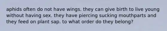 aphids often do not have wings. they can give birth to live young without having sex. they have piercing sucking mouthparts and they feed on plant sap. to what order do they belong?