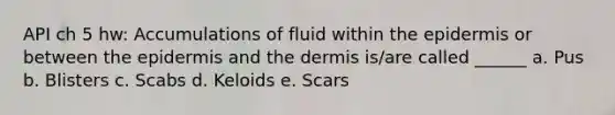 API ch 5 hw: Accumulations of fluid within the epidermis or between the epidermis and the dermis is/are called ______ a. Pus b. Blisters c. Scabs d. Keloids e. Scars