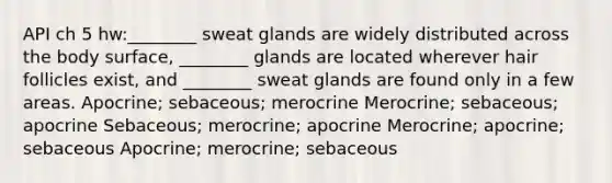 API ch 5 hw:________ sweat glands are widely distributed across the body surface, ________ glands are located wherever hair follicles exist, and ________ sweat glands are found only in a few areas. Apocrine; sebaceous; merocrine Merocrine; sebaceous; apocrine Sebaceous; merocrine; apocrine Merocrine; apocrine; sebaceous Apocrine; merocrine; sebaceous