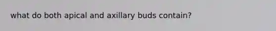 what do both apical and axillary buds contain?