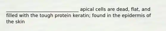 _______________________________ apical cells are dead, flat, and filled with the tough protein keratin; found in the epidermis of the skin