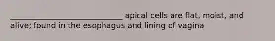 _____________________________ apical cells are flat, moist, and alive; found in the esophagus and lining of vagina