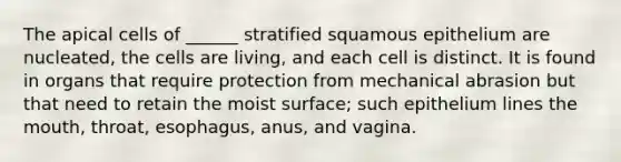 The apical cells of ______ stratified squamous epithelium are nucleated, the cells are living, and each cell is distinct. It is found in organs that require protection from mechanical abrasion but that need to retain the moist surface; such epithelium lines the mouth, throat, esophagus, anus, and vagina.