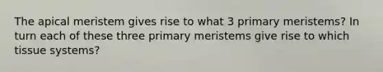 The apical meristem gives rise to what 3 primary meristems? In turn each of these three primary meristems give rise to which tissue systems?