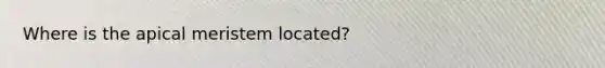 Where is the apical meristem located?
