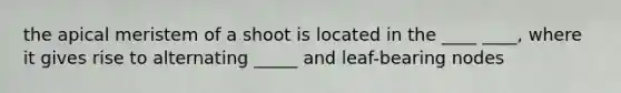 the apical meristem of a shoot is located in the ____ ____, where it gives rise to alternating _____ and leaf-bearing nodes