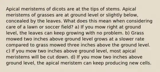 Apical meristems of dicots are at the tips of stems. Apical meristems of grasses are at ground level or slightly below, concealed by the leaves. What does this mean when considering care of a lawn or soccer field? a) If you mow right at ground level, the leaves can keep growing with no problem. b) Grass mowed two inches above ground level grows at a slower rate compared to grass mowed three inches above the ground level. c) If you mow two inches above ground level, most apical meristems will be cut down. d) If you mow two inches above ground level, the apical meristem can keep producing new cells.