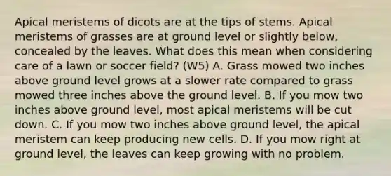 Apical meristems of dicots are at the tips of stems. Apical meristems of grasses are at ground level or slightly below, concealed by the leaves. What does this mean when considering care of a lawn or soccer field? (W5) A. Grass mowed two inches above ground level grows at a slower rate compared to grass mowed three inches above the ground level. B. If you mow two inches above ground level, most apical meristems will be cut down. C. If you mow two inches above ground level, the apical meristem can keep producing new cells. D. If you mow right at ground level, the leaves can keep growing with no problem.