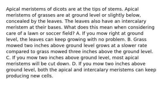 Apical meristems of dicots are at the tips of stems. Apical meristems of grasses are at ground level or slightly below, concealed by the leaves. The leaves also have an intercalary meristem at their bases. What does this mean when considering care of a lawn or soccer field? A. If you mow right at ground level, the leaves can keep growing with no problem. B. Grass mowed two inches above ground level grows at a slower rate compared to grass mowed three inches above the ground level. C. If you mow two inches above ground level, most apical meristems will be cut down. D. If you mow two inches above ground level, both the apical and intercalary meristems can keep producing new cells.