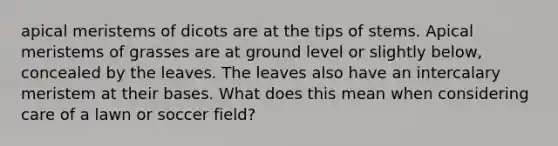 apical meristems of dicots are at the tips of stems. Apical meristems of grasses are at ground level or slightly below, concealed by the leaves. The leaves also have an intercalary meristem at their bases. What does this mean when considering care of a lawn or soccer field?