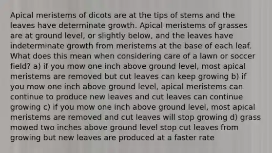 Apical meristems of dicots are at the tips of stems and the leaves have determinate growth. Apical meristems of grasses are at ground level, or slightly below, and the leaves have indeterminate growth from meristems at the base of each leaf. What does this mean when considering care of a lawn or soccer field? a) if you mow one inch above ground level, most apical meristems are removed but cut leaves can keep growing b) if you mow one inch above ground level, apical meristems can continue to produce new leaves and cut leaves can continue growing c) if you mow one inch above ground level, most apical meristems are removed and cut leaves will stop growing d) grass mowed two inches above ground level stop cut leaves from growing but new leaves are produced at a faster rate