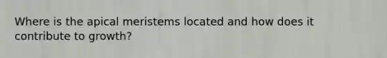 Where is the apical meristems located and how does it contribute to growth?