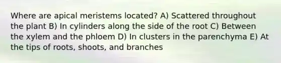 Where are apical meristems located? A) Scattered throughout the plant B) In cylinders along the side of the root C) Between the xylem and the phloem D) In clusters in the parenchyma E) At the tips of roots, shoots, and branches