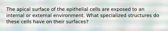 The apical surface of the epithelial cells are exposed to an internal or external environment. What specialized structures do these cells have on their surfaces?