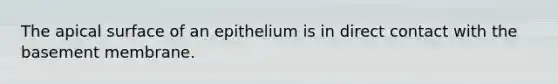 The apical surface of an epithelium is in direct contact with the basement membrane.