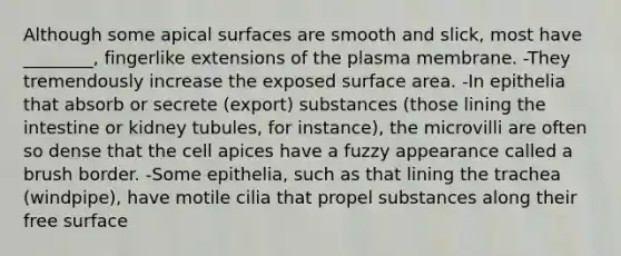 Although some apical surfaces are smooth and slick, most have ________, fingerlike extensions of the plasma membrane. -They tremendously increase the exposed surface area. -In epithelia that absorb or secrete (export) substances (those lining the intestine or kidney tubules, for instance), the microvilli are often so dense that the cell apices have a fuzzy appearance called a brush border. -Some epithelia, such as that lining the trachea (windpipe), have motile cilia that propel substances along their free surface