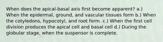 When does the apical-basal axis first become apparent? a.) When the epidermal, ground, and vascular tissues form b.) When the cotyledons, hypocotyl, and root form. c.) When the first cell division produces the apical cell and basal cell d.) During the globular stage, when the suspensor is complete.