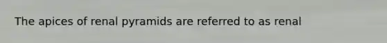 The apices of renal pyramids are referred to as renal