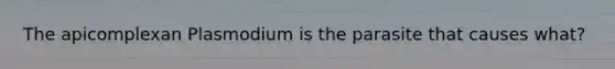 The apicomplexan Plasmodium is the parasite that causes what?