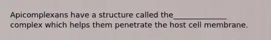 Apicomplexans have a structure called the______________ complex which helps them penetrate the host cell membrane.