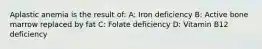 Aplastic anemia is the result of: A: Iron deficiency B: Active bone marrow replaced by fat C: Folate deficiency D: Vitamin B12 deficiency