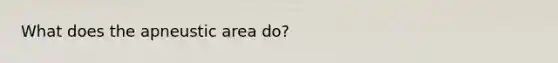 What does the apneustic area do?