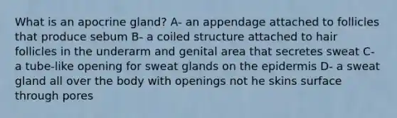 What is an apocrine gland? A- an appendage attached to follicles that produce sebum B- a coiled structure attached to hair follicles in the underarm and genital area that secretes sweat C- a tube-like opening for sweat glands on the epidermis D- a sweat gland all over the body with openings not he skins surface through pores