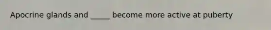 Apocrine glands and _____ become more active at puberty