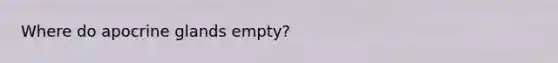 Where do apocrine glands empty?