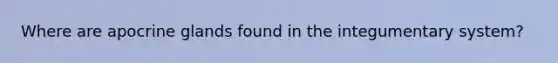 Where are apocrine glands found in the integumentary system?