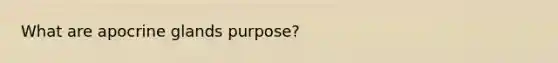 What are apocrine glands purpose?