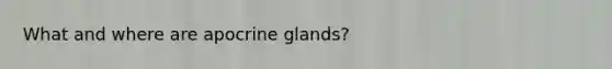 What and where are apocrine glands?