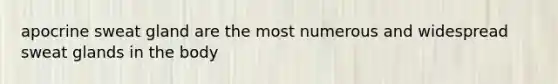 apocrine sweat gland are the most numerous and widespread sweat glands in the body