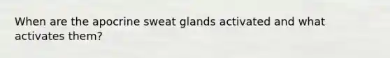 When are the apocrine sweat glands activated and what activates them?