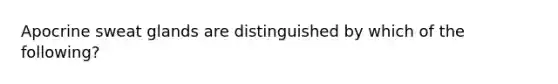 Apocrine sweat glands are distinguished by which of the following?