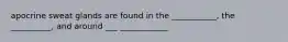 apocrine sweat glands are found in the ___________, the __________, and around ___ ____________