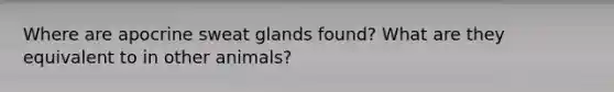 Where are apocrine sweat glands found? What are they equivalent to in other animals?