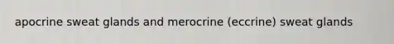 apocrine sweat glands and merocrine (eccrine) sweat glands