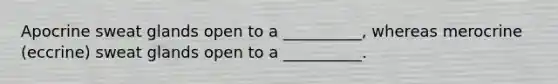 Apocrine sweat glands open to a __________, whereas merocrine (eccrine) sweat glands open to a __________.