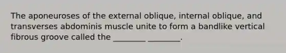 The aponeuroses of the external oblique, internal oblique, and transverses abdominis muscle unite to form a bandlike vertical fibrous groove called the ________ ________.