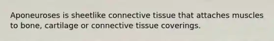 Aponeuroses is sheetlike connective tissue that attaches muscles to bone, cartilage or connective tissue coverings.