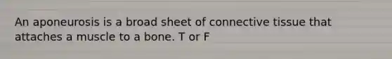An aponeurosis is a broad sheet of connective tissue that attaches a muscle to a bone. T or F