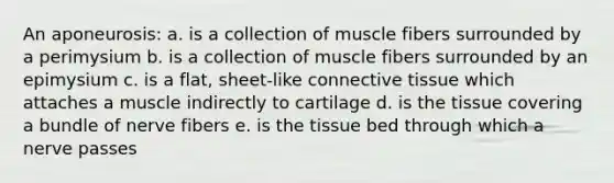 An aponeurosis: a. is a collection of muscle fibers surrounded by a perimysium b. is a collection of muscle fibers surrounded by an epimysium c. is a flat, sheet-like <a href='https://www.questionai.com/knowledge/kYDr0DHyc8-connective-tissue' class='anchor-knowledge'>connective tissue</a> which attaches a muscle indirectly to cartilage d. is the tissue covering a bundle of nerve fibers e. is the tissue bed through which a nerve passes