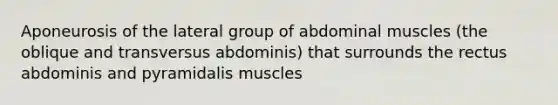 Aponeurosis of the lateral group of abdominal muscles (the oblique and transversus abdominis) that surrounds the rectus abdominis and pyramidalis muscles