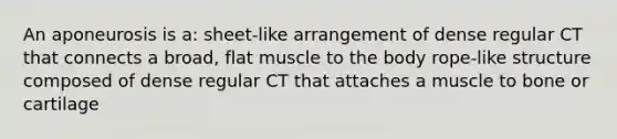 An aponeurosis is a: sheet-like arrangement of dense regular CT that connects a broad, flat muscle to the body rope-like structure composed of dense regular CT that attaches a muscle to bone or cartilage