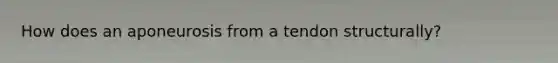 How does an aponeurosis from a tendon structurally?