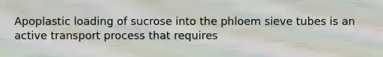 Apoplastic loading of sucrose into the phloem sieve tubes is an active transport process that requires