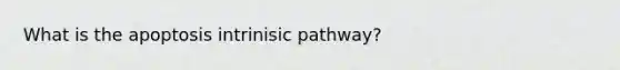 What is the apoptosis intrinisic pathway?