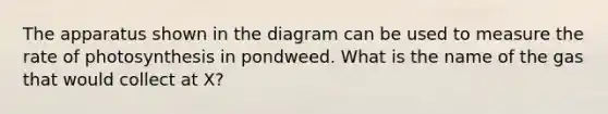 The apparatus shown in the diagram can be used to measure the rate of photosynthesis in pondweed. What is the name of the gas that would collect at X?